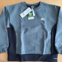Item thumbnail for item a9047208-705a-45f0-a46a-6d035df9ccc7