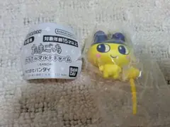 たまごっち　ガチャ　カラフルマルチチャーム　まめっち