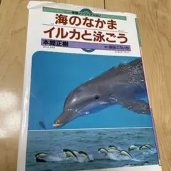 海のなかま イルカと泳ごう