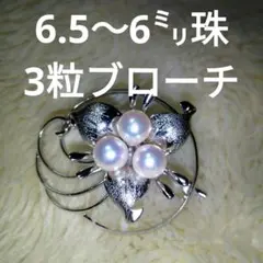 花珠級あこや真珠ブローチ SILVER刻印