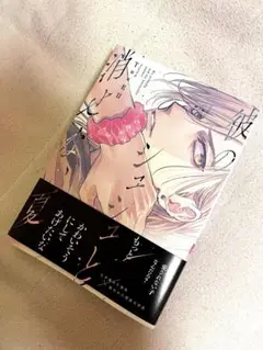 【匿名配送】彼のシュシュと消せない夏