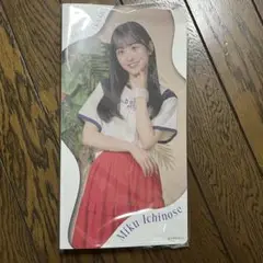 乃木坂46 個別フォトアルバム 一ノ瀬美空