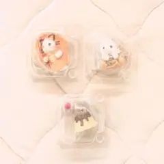 シルバニア　くじ