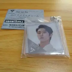 ☆最終値下げ SEVENTEEN アクリルチャーム