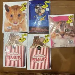 動物の顔の誕生日カードセット　5枚組