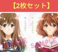 【即購入可】入場者特典 2枚
