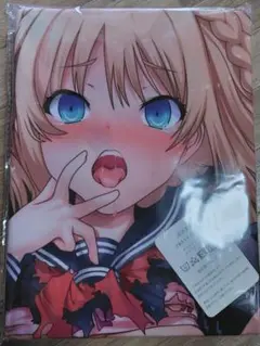 俺が姪を◯す理由　抱き枕カバー 2wayトリコット