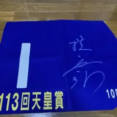 競馬 ゼッケン 天皇賞 サクラローレル サイン入り