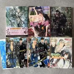 BL小説6冊セット