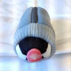 文鳥ペンケース