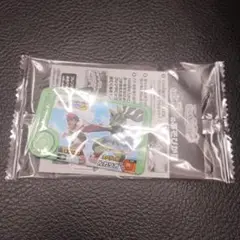 ポケモンスタンプラリー2025 フレンダピック
