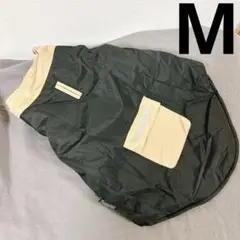Item thumbnail for item 2c2e44b4-32d7-4fef-9229-444f56122786