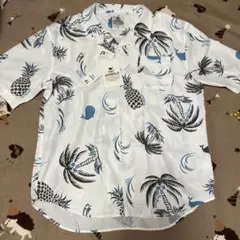 Item thumbnail for item a1faec20-9ff5-443c-bbaa-4763342f45bb