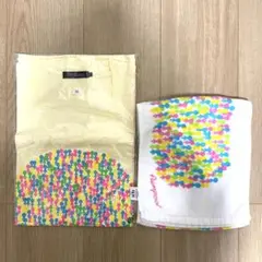 【レア】flumpool fanclub tour 2009 Tシャツ+タオル