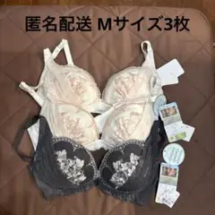 Item thumbnail for item 8e6ba8e3-7f3e-42ff-9217-eb1fe1aef3f9