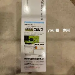 EAGLE VISION VOICE3 TypeV