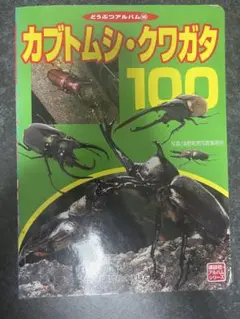 カブトムシ・クワガタ100