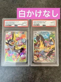 ナンジャモのカイデン　ナンジャモのタイカイデン　ar psa10 連番