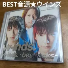 Item thumbnail for item 327a00c6-bfe7-4283-87f5-0b028c1e9fcb