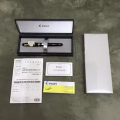 2025年最新】万年筆 パイロット z-cr-gnの人気アイテム - メルカリ