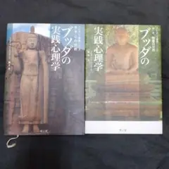 売り切り　2冊セット　ブッダの実践心理学 : アビダンマ講義シリーズ