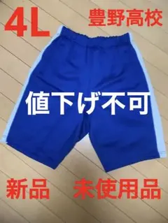 新品 4Lサイズ 愛知県立豊野高等学校 ハーフパンツ 体操服 体育 中学 高校