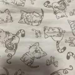 ニット生地猫生地