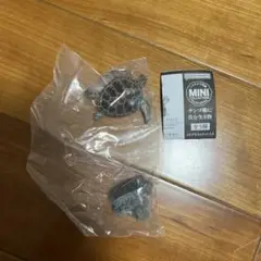 いきもの大図鑑　アオウミガメ