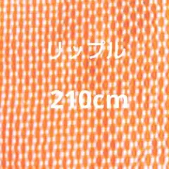 Item thumbnail for item 3dd92e1f-4db2-4d28-8d50-94013e831603