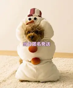 Item thumbnail for item 21dc94e8-8f28-4654-afb1-d1a434f70203