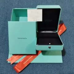 Tiffany【ティファニー】ピアスケース