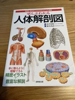 ぜんぶわかる人体解剖図 系統別・部位別にわかりやすくビジュアル解説
