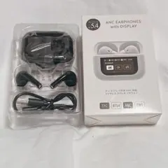 Item thumbnail for item 5aa11f1b-edd1-432f-abb9-7139daf533a3