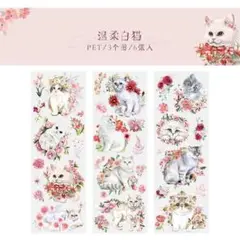 Item thumbnail for item 75345830-9c1d-4555-b791-66a8f2b430e8