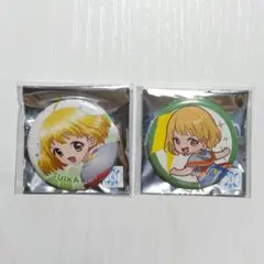ドクターストーン でんきの科学館 缶バッジ スイカ②