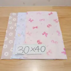 女の子柄♪ランチョンマット30×40☆１枚仕立て・3枚セット