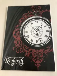 Acid Black Cherry 2010 Re:birthツアーパンフレット
