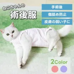 Item thumbnail for item 83265d2f-2f7f-47d7-b843-8b0e4ce654a9