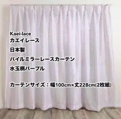 カエイレース パイルミラーレースカーテン水玉柄PU幅100cm×丈228cm2枚