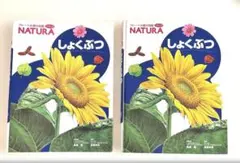 【カバー付き】 フレーベル館の図鑑 NATURA ナチュラ しょくぶつ