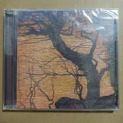 黒百合姉妹 CD LIS NOIRS LIVE 2 ~muse~ 新品未開封