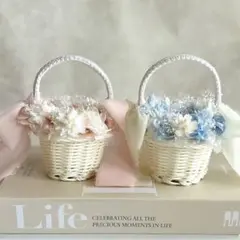 Item thumbnail for item ad26c76e-9816-485d-87d3-0b087f17cd1d