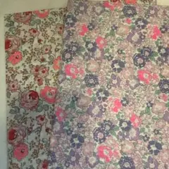 リバティ タナローン フェリシテ ミッシェル ネオンカラー 108×30