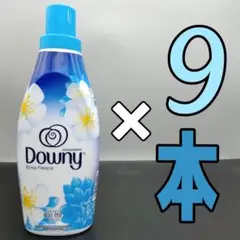 Item thumbnail for item 83425412-d5aa-48b2-84a5-4b113bf1a5f7