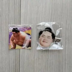 【未使用】明生　ヘアクリップ　シール