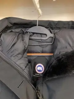 カナダグース確認用