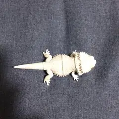 生き物大図鑑 レプティ フトアゴヒゲトカゲ ゼロ メキシコサラマンダー ブラック