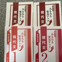 みるみる実力アップ 新版ニ訂版現代文 1・2 セット新品