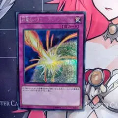 遊戯王 神風のバリア－エアーフォース－ シークレット １枚