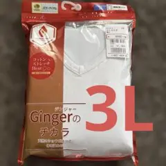 Item thumbnail for item dc0ea318-30ab-4a70-9d2f-b2ebb4cb8d2f